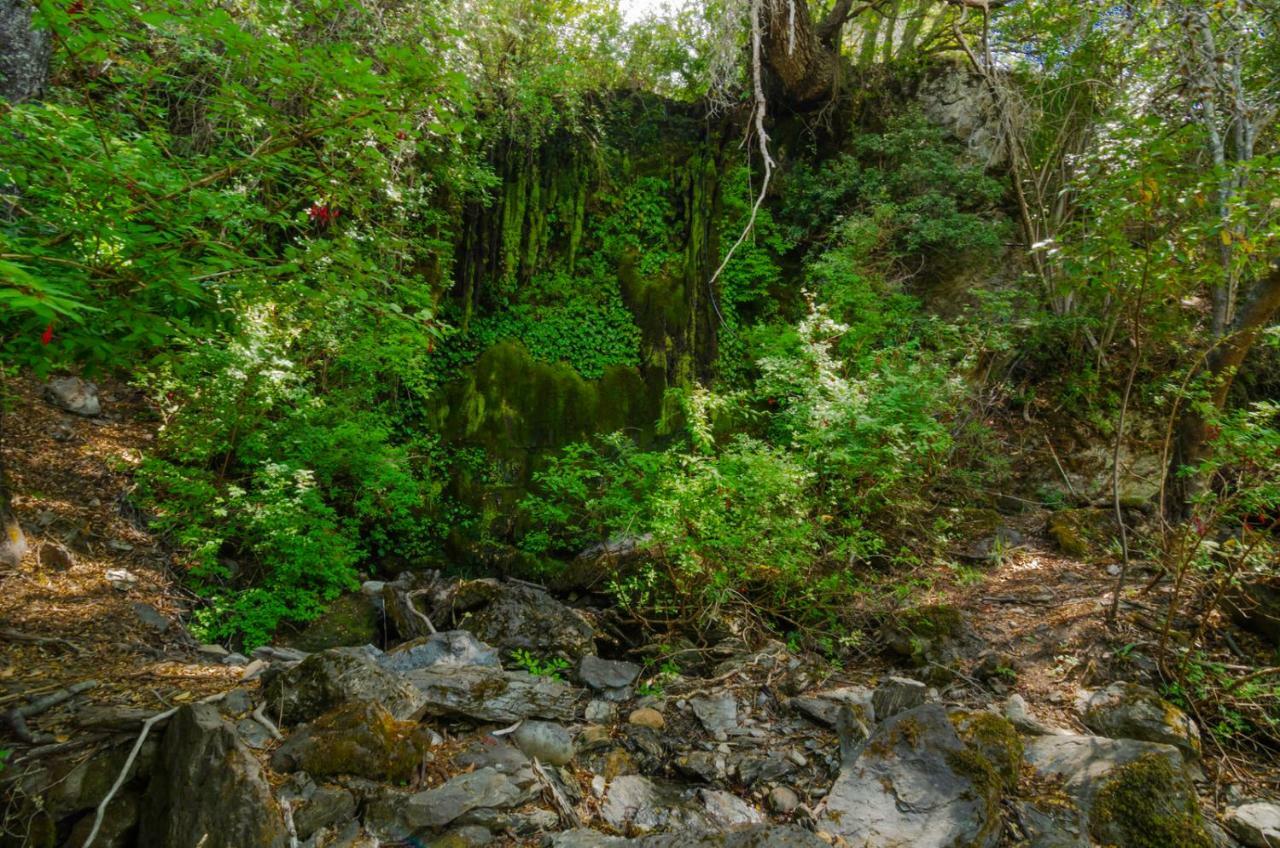 Penzion Peninsula Bahia Catalina Puerto Guadal Exteriér fotografie